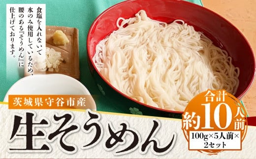 生そうめん 100g×5人前×2セット | そうめん 10人前 10食 セット 麺 麺類 辛汁 冷凍 茨城県 守谷市
