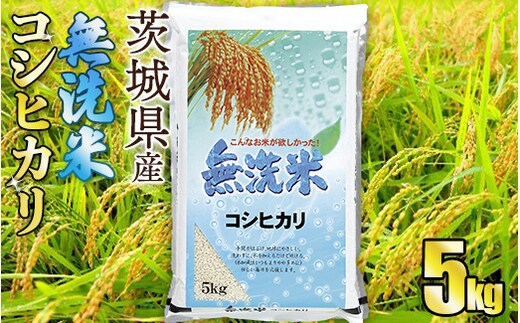【無洗米】令和7年産茨城コシヒカリ 5kg