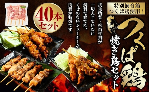 つくば鶏 焼き鳥セット 40本 焼き鳥 焼鳥 もも肉 ネギま ネギ間 鶏皮 つくね 串 串焼き 茨城県 守谷市
