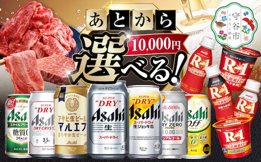 あとからセレクト 寄附10,000円相当【ふるさとギフト】 ギフト券 クーポン 茨城県 守谷市 あとから 選べる