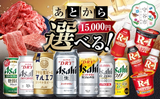 あとからセレクト 寄附15,000円相当【ふるさとギフト】 ギフト券 クーポン 茨城県 守谷市 あとから 選べる