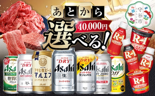 あとからセレクト 寄附40,000円相当【ふるさとギフト】 ギフト券 クーポン 茨城県 守谷市 あとから 選べる