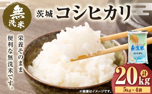令和7年産 茨城コシヒカリ 無洗米 20kg（5kg×4袋） | 米 お米 おこめ 白米 こしひかりごはん 国産
