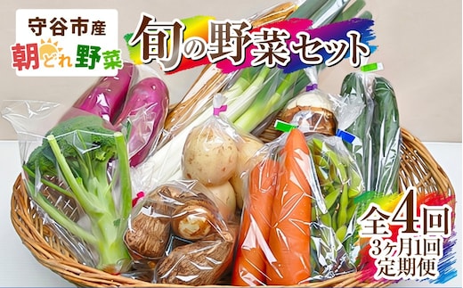 【定期便 4回】【3ヶ月に1回お届け】守谷市産 旬の野菜セット | 野菜 やさい 野菜セット 旬 国産 茨城県産 セット 詰め合わせ 定期 定期配送 冷蔵
