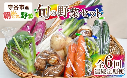 【定期便 6回】【毎月お届け】守谷市産 旬の野菜セット | 野菜 やさい 野菜セット 旬 国産 茨城県産 セット 詰め合わせ 定期 定期配送 冷蔵