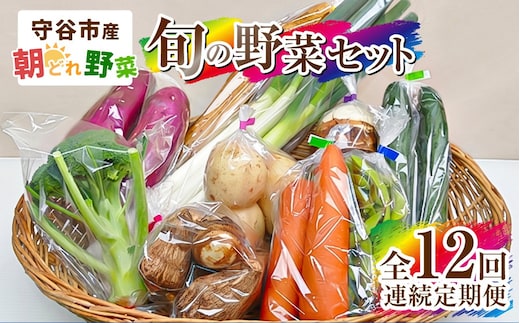 【定期便 12回】【毎月お届け】守谷市産 旬の野菜セット | 野菜 やさい 野菜セット 旬 国産 茨城県産 セット 詰め合わせ 定期 定期配送 冷蔵