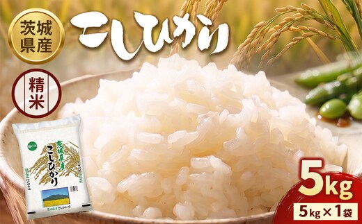 【令和7年産】茨城コシヒカリ 5kg×1袋【精米】 | お米 米 こしひかり 茨城県産 白米 ブランド米 小分け