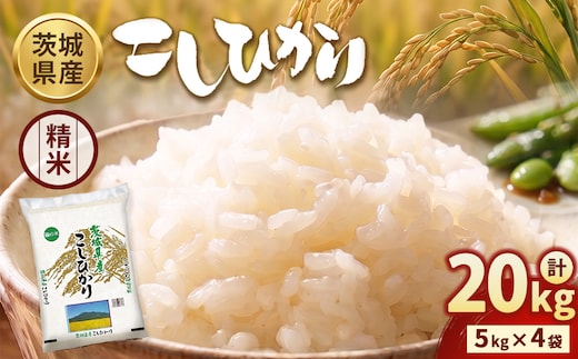 【令和7年産】茨城コシヒカリ 20kg（5kg×4袋）【精米】 | お米 米 こしひかり 茨城県産 白米 ブランド米 小分け