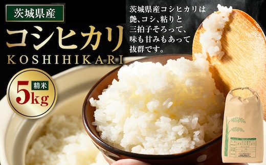 【先行予約】【令和8年産】茨城県産コシヒカリ 5kg ※2026年10月～発送 | 米 お米 おこめ コメ 白米 精米 ご飯 ごはん コシヒカリ こしひかり 茨城県 守谷市
