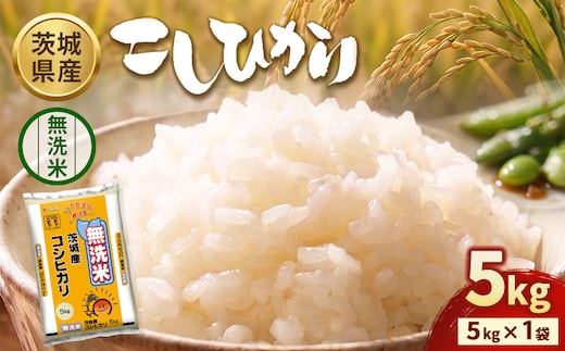 【令和8年産】茨城コシヒカリ【無洗米】 5kg | お米 米 無洗米 こしひかり 茨城県産 白米 ブランド米 小分け