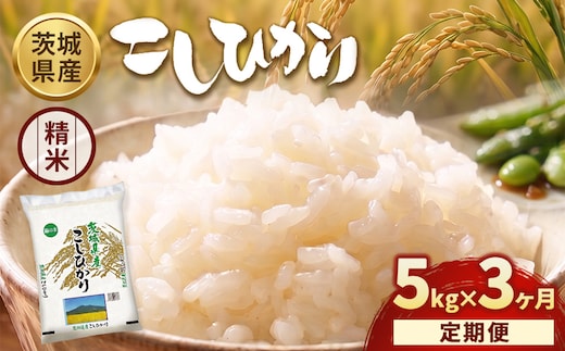 【定期便3ヶ月】【令和8年産】茨城コシヒカリ 5kg×1袋【精米】 | お米 米 こしひかり 茨城県産 白米 ブランド米 小分け