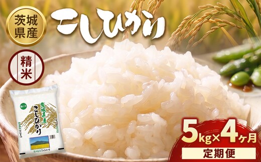 【定期便4ヶ月】【令和8年産】茨城コシヒカリ 5kg×1袋【精米】 | お米 米 こしひかり 茨城県産 白米 ブランド米 小分け