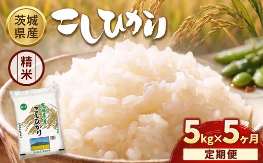 【定期便5ヶ月】【令和8年産】茨城コシヒカリ 5kg×1袋【精米】 | お米 米 こしひかり 茨城県産 白米 ブランド米 小分け