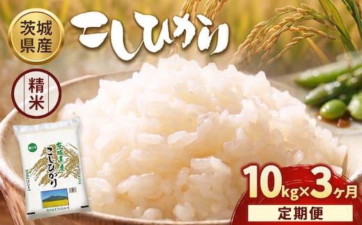 【定期便3ヶ月】【令和8年産】茨城コシヒカリ 10kg（5kg×2袋）【精米】 | お米 米 こしひかり 茨城県産 白米 ブランド米 小分け