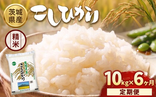 【定期便6ヶ月】【令和8年産】茨城コシヒカリ 10kg（5kg×2袋）【精米】 | お米 米 こしひかり 茨城県産 白米 ブランド米 小分け
