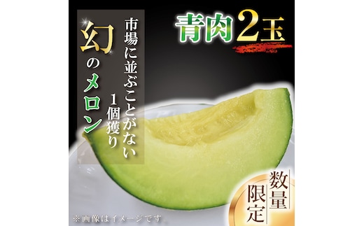 【2026年6月下旬より順次発送】【数量限定】1個獲り★幻のメロン 青肉(2玉入り1箱)｜メロン 青肉 青肉メロン 果物 フルーツ くだもの 旬 幻のメロン 数量限定 先行予約 茨城県 行方市(AY-2)