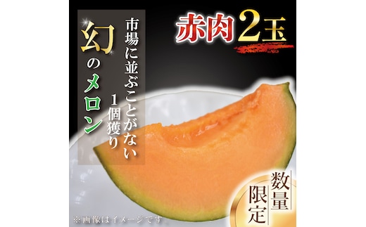 【2026年6月下旬より順次発送】【数量限定】1個獲り★幻のメロン 赤肉(2玉入り1箱)｜メロン 赤肉 赤肉メロン 果物 フルーツ くだもの 旬 幻のメロン 数量限定 先行予約 茨城県 行方市(AY-1)