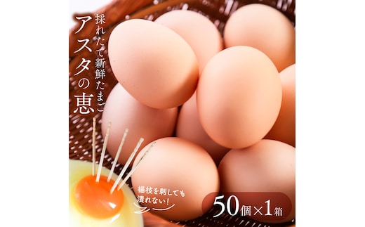 U-2 黄身がしっかり濃厚な卵【アスタの恵み】50個