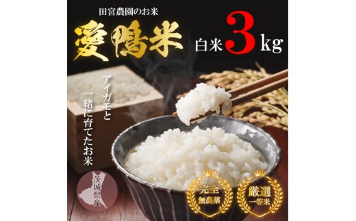 L-6 アイガモと一緒に育てたお米「愛鴨米・白米」3kg