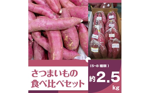 【2025年11月より順次発送】2025年度産 いろんなさつまいも食べ比べセット 約2.5kg(5～8品種)|さつまいも サツマイモ いも 芋 食べ比べ 茨城県 行方市（BZ-16）