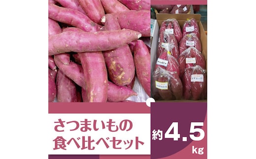 【2025年11月より順次発送】2025年度産 いろんなさつまいも食べ比べセット 約4.5kg(5～8品種)|さつまいも サツマイモ いも 芋 食べ比べ 茨城県 行方市（BZ-18）