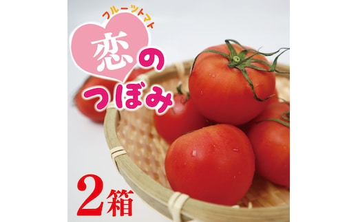 ★数量限定★JA 恋のつぼみ(フルーツトマト2箱)｜トマト フルーツトマト 恋のつぼみ 先行予約 数量限定 野菜 茨城県 行方市(AE-6)