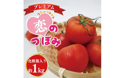 ★数量限定★JA フルーツトマト恋のつぼみプレミアム約1kg(化粧箱)｜トマト フルーツトマト プレミアム 化粧箱 贈り物 ギフト 恋のつぼみ 数量限定 野菜 茨城県 行方市(AE-7)