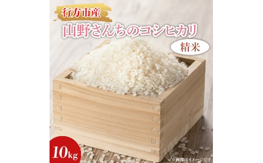 ★令和7年度産★山野さんちのコシヒカリ 10kg(精米)｜米 お米 こめ こしひかり コシヒカリ 令和7年産 R7年産 精米 茨城県 行方市(BR-7-1)