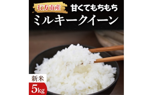 【2025年9月上旬より順次発送】【令和7年産 新米】★数量限定★甘くてもちもち ミルキークイーン 精米5kg｜米 お米 こめ ミルキークイーン 数量限定 令和7年産 茨城県 行方市 人気 送料無料（BR-2-1）