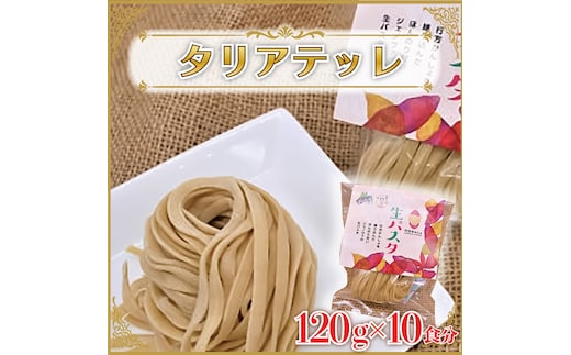 CJ-16 生パスタ （タリアテッレ10食分）