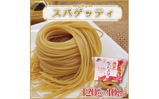 CJ-15 生パスタ （スパゲッティ10食分）