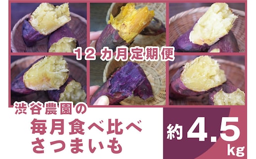 【12ヶ月定期便】渋谷農園の毎月食べ比べさつまいも 約4.5kg｜さつまいも サツマイモ さつま芋 お芋 食べ比べ 定期便 毎月 紅はるか きみまろこ シルクスイート 栗かぐや 渋谷農園 さつまいも博 茨城県産 茨城県 行方市(BZ-21)