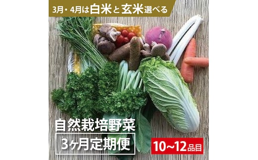 BI-14 3ヵ月定期便「自然栽培野菜」10～12品目（3月4月は白米または玄米5kg）