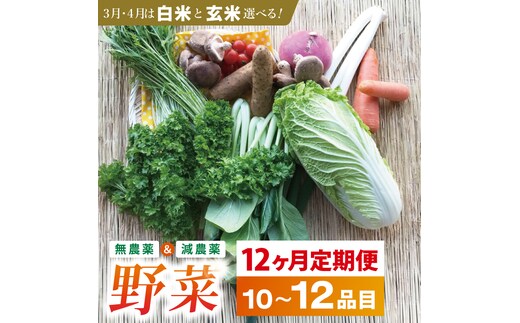 【12ヶ月定期便】身体が喜ぶ季節の野菜 10～12品目(3月、4月は米 5kg)｜米 お米 こめ 玄米 野菜 野菜セット 栽培期間農薬不使用 定期便 野菜定期便 茨城県共通返礼品 共通返礼品 茨城県 潮来市 行方市(BI-10)