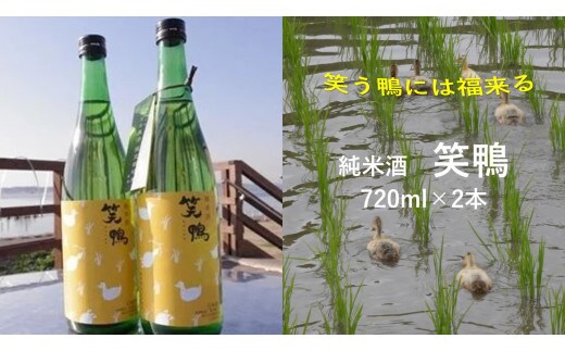 CT-15 【純米酒】笑鴨 720ml×2本