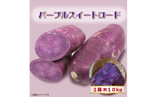 【2025年11月より順次発送】2025年度産 パープルスイートロード 約10kg｜さつまいも 芋 お芋 パープルスイートロード 渋谷農園 先行予約 茨城県 行方市(BZ-8)