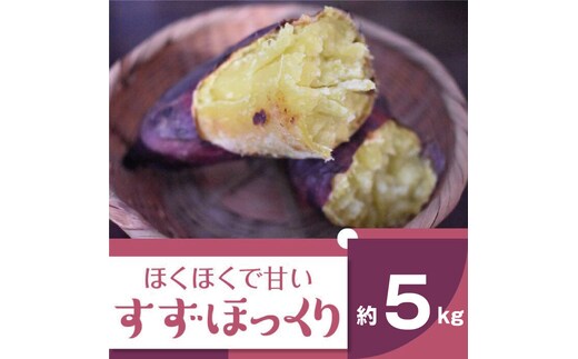 2025年度産 ホクホクで甘いさつまいも すずほっくり 約5kg｜さつまいも 芋 お芋 すずほっくり 渋谷農園 茨城県 行方市(BZ-13)