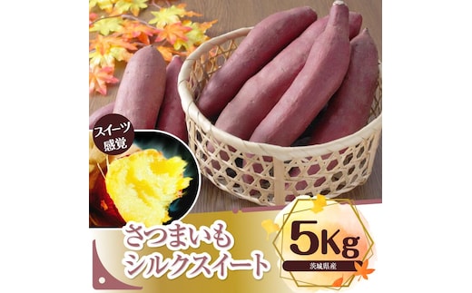 さつまいも 特選シルクスイート 約5kg｜さつまいも 芋 お芋 シルクスイート タネのハシモト 茨城県 行方市(BS-1)