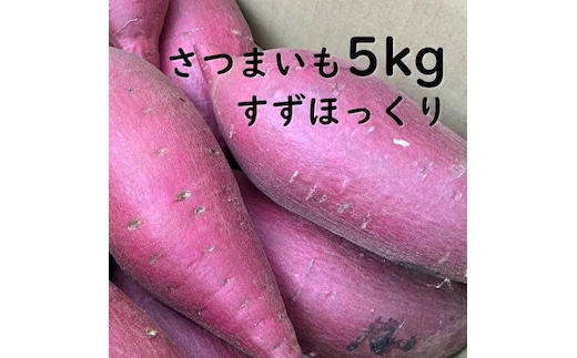 【先行予約】【2026年11月より順次発送開始】さつまいも 特選すずほっくり 約5kg｜さつまいも 芋 お芋 すずほっくり タネのハシモト 茨城県 行方市(BS-18)