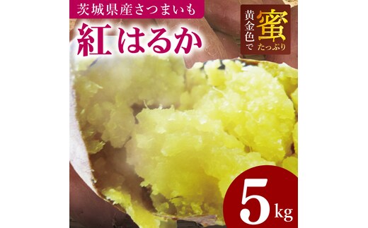 焼き芋好きのための黄金色で蜜たっぷりサツマイモ 紅はるか 約5kg｜さつまいも サツマイモ お芋 紅はるか 蜜 やきいも 焼き芋 ヤキイモ 茨城県 行方市(BI-71)