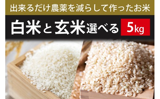 【2026年9月下旬より順次発送】【できるだけ農薬を減らして作ったお米】令和8年産こしひかり 5kg(白米または玄米)｜米 お米 こめ こしひかり コシヒカリ 令和8年産 R8年産 新米 白米 玄米 選べる 減農薬 茨城県 行方市(BI-72)