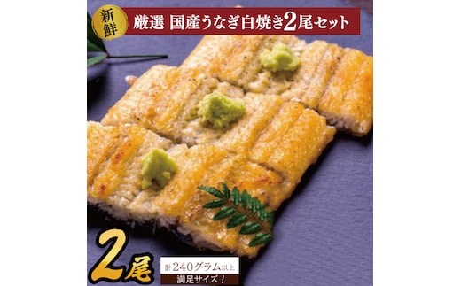 満足サイズ！国内産うなぎ白焼(酒蒸し)120～140g 2尾 計240g以上|うなぎ 鰻 白焼 酒蒸し 満足 茨城県 行方市（AD-143-1）