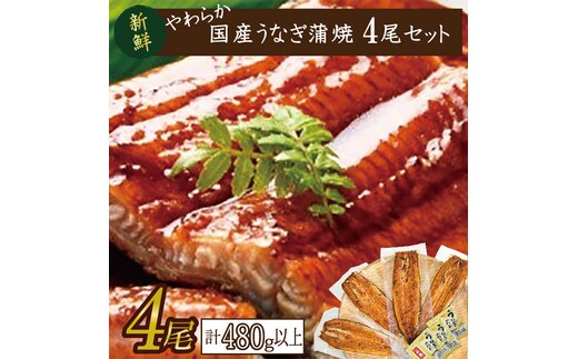やわらか国内産うなぎ蒲焼満足サイズ！120～140g 4尾 計480g以上|うなぎ 鰻 蒲焼 満足 茨城県 行方市(AD-83-1)