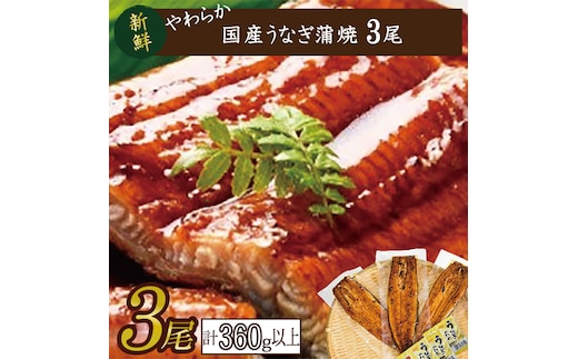 やわらか国内産うなぎ蒲焼満足サイズ！120～140g 3尾 計360g以上|うなぎ 鰻 蒲焼 満足 茨城県 行方市(AD-84-1)