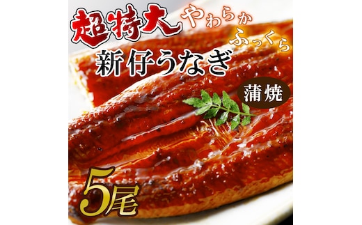超特大！やわらか国内産うなぎ蒲焼220～250g 5尾 計1100g以上|うなぎ 鰻 蒲焼 特大 茨城県 行方市(AD-92-1)