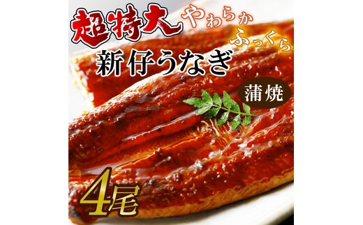 超特大！やわらか国内産うなぎ蒲焼220～250g 4尾 計880g以上|うなぎ 鰻 蒲焼 特大 茨城県 行方市(AD-93-1)