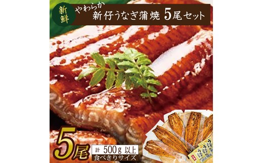 やわらか国内産うなぎ蒲焼き！ 食べ切りサイズ100～120g 5尾 計500g以上|うなぎ 鰻 蒲焼 食べ切り 茨城県 行方市(AD-103-1)