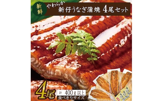 やわらか国内産うなぎ蒲焼き！ 食べ切りサイズ100～120g 4尾 計400g以上|うなぎ 鰻 蒲焼 食べ切り 茨城県 行方市(AD-104-1)