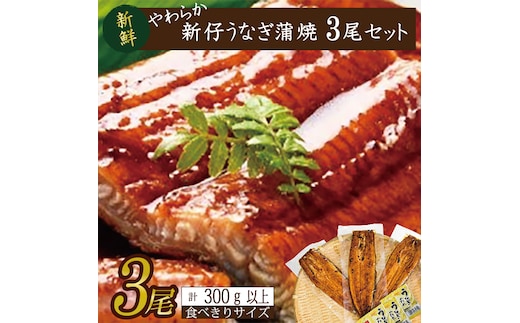 やわらか国内産うなぎ蒲焼き！ 食べ切りサイズ100～120g 3尾 計300g以上|うなぎ 鰻 蒲焼 食べ切り 茨城県 行方市(AD-105-1)