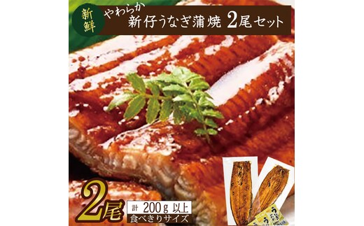 やわらか国内産うなぎ蒲焼き！ 食べ切りサイズ100～120g 2尾 計200g以上|うなぎ 鰻 蒲焼 食べ切り 茨城県 行方市(AD-106-1)